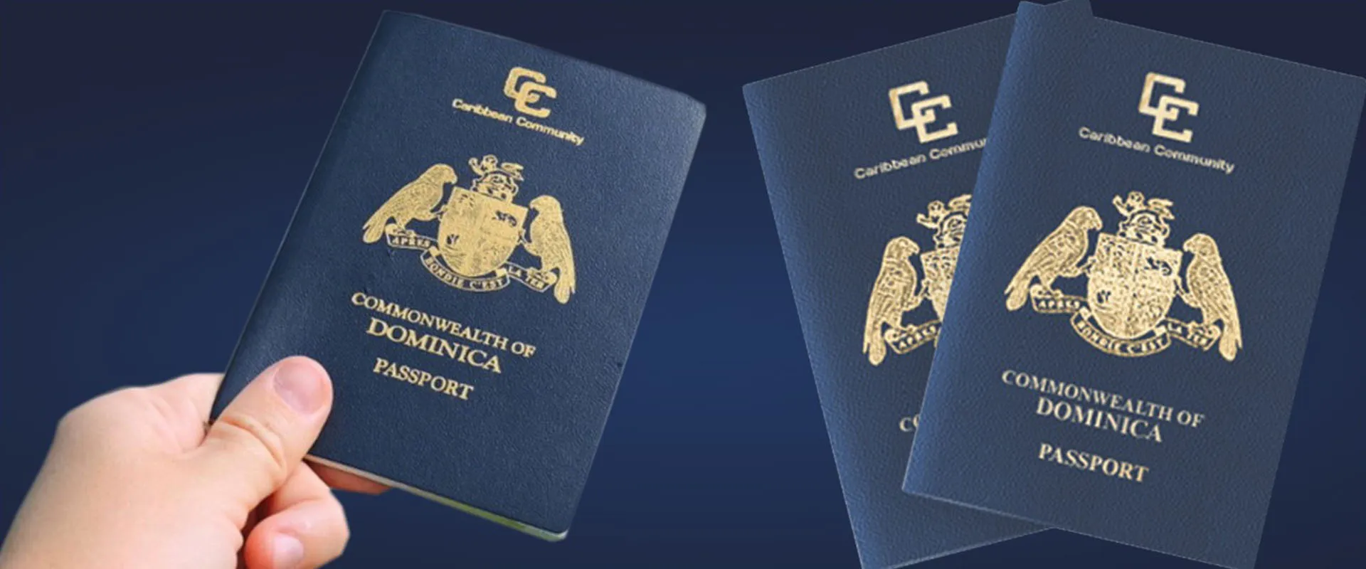 dominica pasport